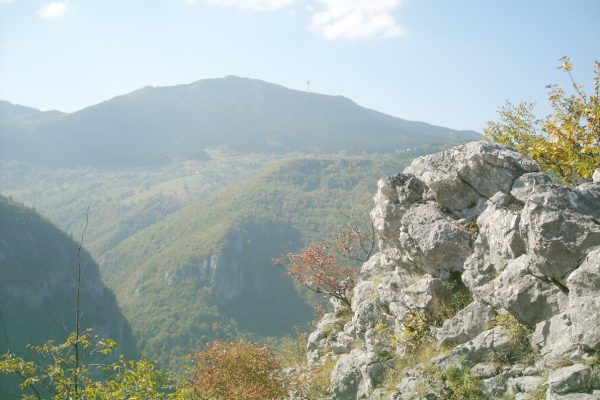 bulozi2